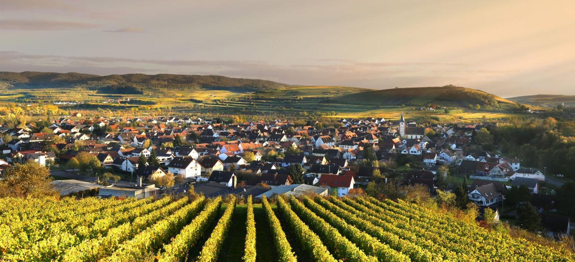 Ferienhof Schloessle ザスバッハ・アム・カイザーシュトゥール エクステリア 写真